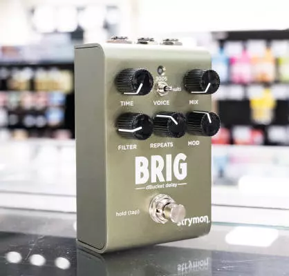 Strymon - Brig dBucket Delay Pedal 2
